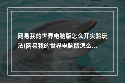 网易我的世界电脑版怎么开实验玩法(网易我的世界电脑版怎么开实验玩法教程)