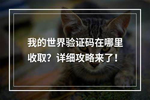 我的世界验证码在哪里收取？详细攻略来了！