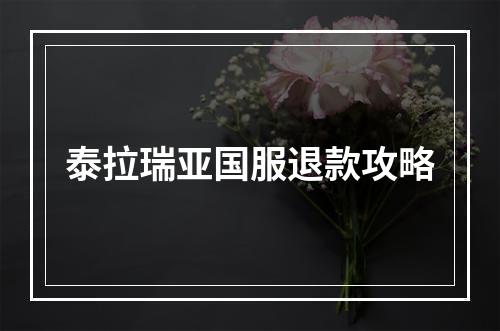 泰拉瑞亚国服退款攻略