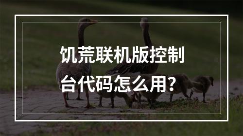 饥荒联机版控制台代码怎么用？