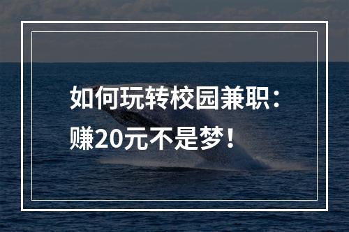 如何玩转校园兼职：赚20元不是梦！