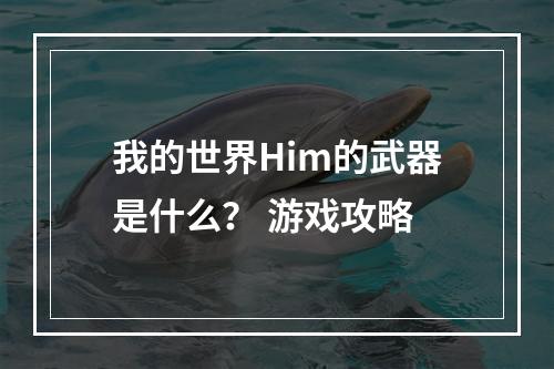 我的世界Him的武器是什么？ 游戏攻略