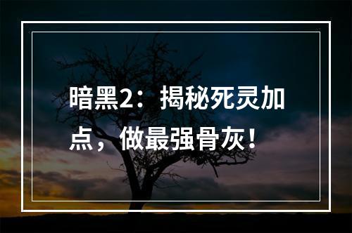 暗黑2：揭秘死灵加点，做最强骨灰！