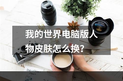 我的世界电脑版人物皮肤怎么换？