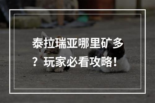 泰拉瑞亚哪里矿多？玩家必看攻略！