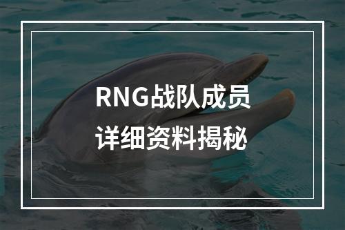 RNG战队成员详细资料揭秘