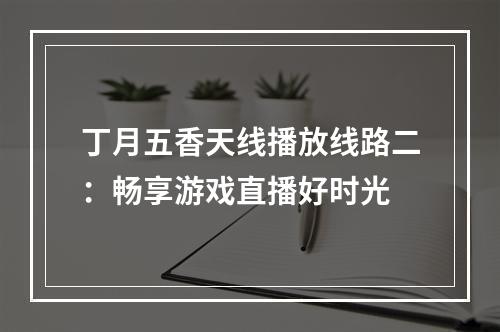 丁月五香天线播放线路二：畅享游戏直播好时光