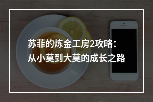 苏菲的炼金工房2攻略：从小莫到大莫的成长之路