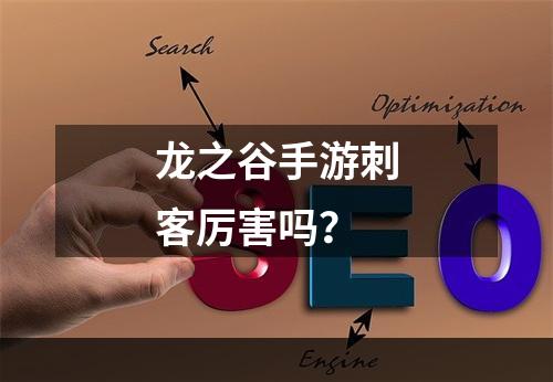 龙之谷手游刺客厉害吗？