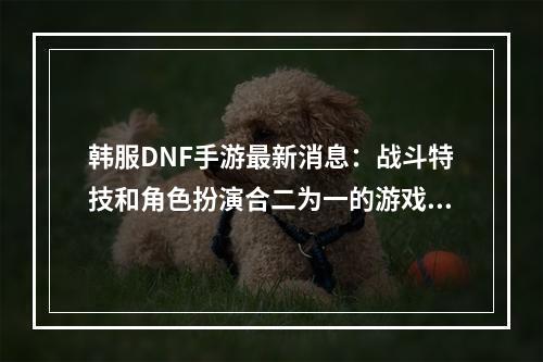 韩服DNF手游最新消息：战斗特技和角色扮演合二为一的游戏体验