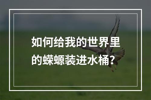 如何给我的世界里的蝾螈装进水桶？