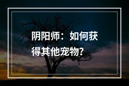 阴阳师：如何获得其他宠物？