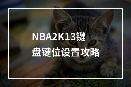 NBA2K13键盘键位设置攻略