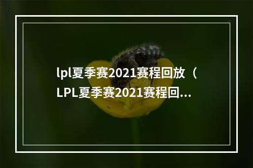 lpl夏季赛2021赛程回放（LPL夏季赛2021赛程回放：进阶攻略指南）