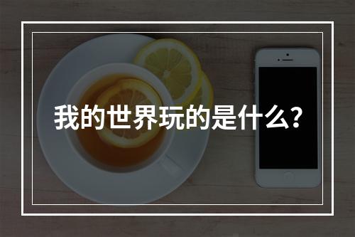 我的世界玩的是什么？