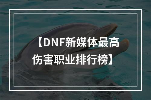 【DNF新媒体最高伤害职业排行榜】