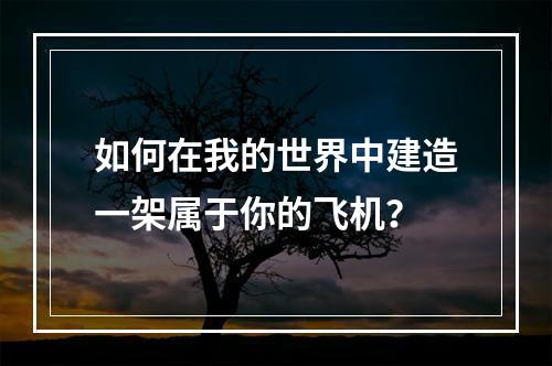 如何在我的世界中建造一架属于你的飞机？