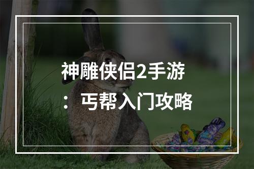 神雕侠侣2手游：丐帮入门攻略