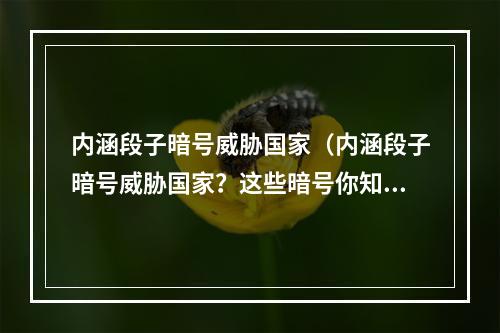 内涵段子暗号威胁国家（内涵段子暗号威胁国家？这些暗号你知道吗？）