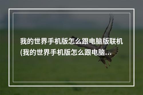 我的世界手机版怎么跟电脑版联机(我的世界手机版怎么跟电脑版联机玩)