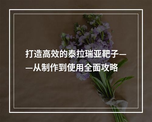 打造高效的泰拉瑞亚靶子——从制作到使用全面攻略