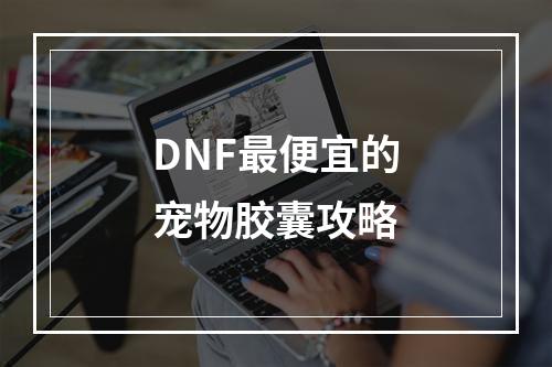 DNF最便宜的宠物胶囊攻略