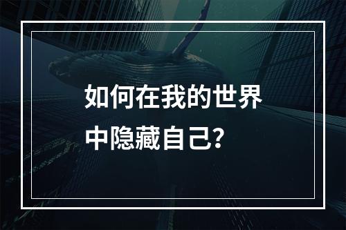 如何在我的世界中隐藏自己？