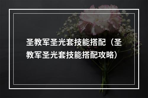 圣教军圣光套技能搭配（圣教军圣光套技能搭配攻略）