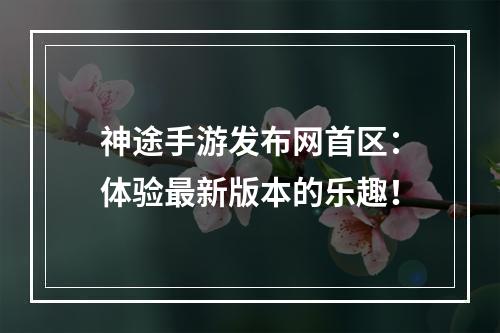 神途手游发布网首区：体验最新版本的乐趣！