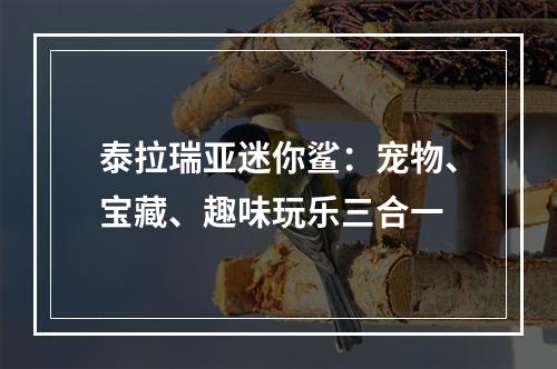 泰拉瑞亚迷你鲨：宠物、宝藏、趣味玩乐三合一