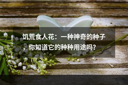 饥荒食人花：一种神奇的种子，你知道它的种种用途吗？