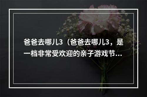 爸爸去哪儿3（爸爸去哪儿3，是一档非常受欢迎的亲子游戏节目，下面我们一起来看看如何在游戏中赢得胜利吧！