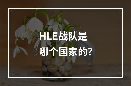 HLE战队是哪个国家的？