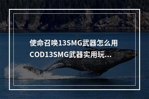 使命召唤13SMG武器怎么用 COD13SMG武器实用玩法心得--手游攻略网