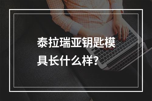 泰拉瑞亚钥匙模具长什么样？