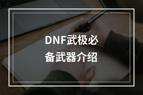 DNF武极必备武器介绍