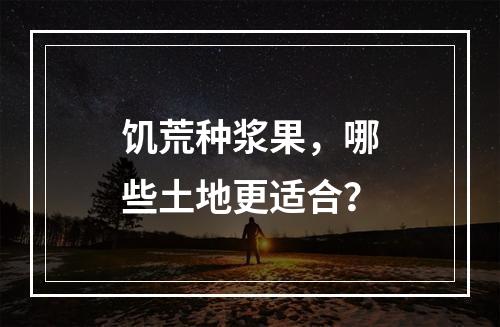 饥荒种浆果，哪些土地更适合？