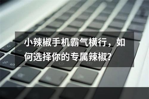 小辣椒手机霸气横行，如何选择你的专属辣椒？