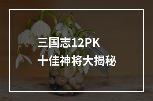 三国志12PK 十佳神将大揭秘