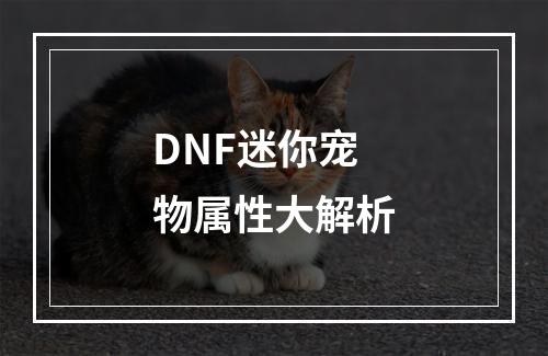 DNF迷你宠物属性大解析