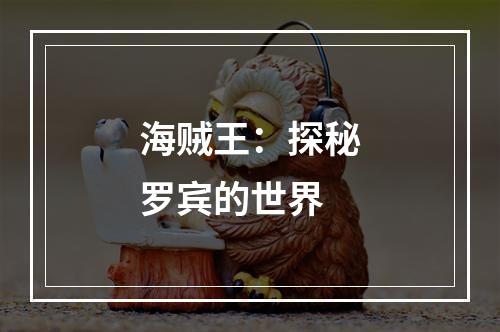 海贼王：探秘罗宾的世界