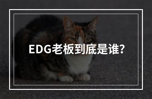 EDG老板到底是谁？