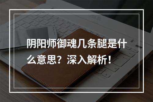 阴阳师御魂几条腿是什么意思？深入解析！