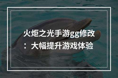 火炬之光手游gg修改：大幅提升游戏体验