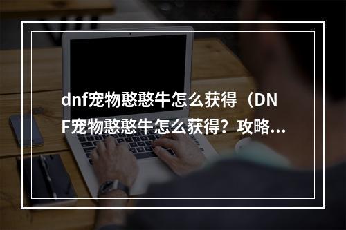 dnf宠物憨憨牛怎么获得（DNF宠物憨憨牛怎么获得？攻略来啦！）