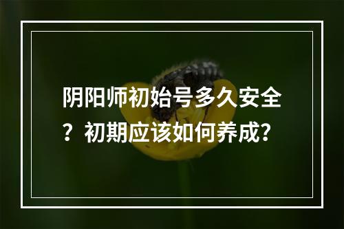 阴阳师初始号多久安全？初期应该如何养成？