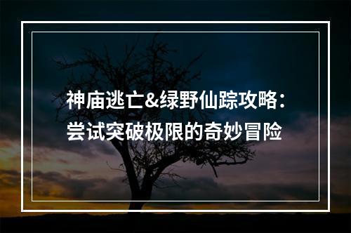 神庙逃亡&绿野仙踪攻略：尝试突破极限的奇妙冒险