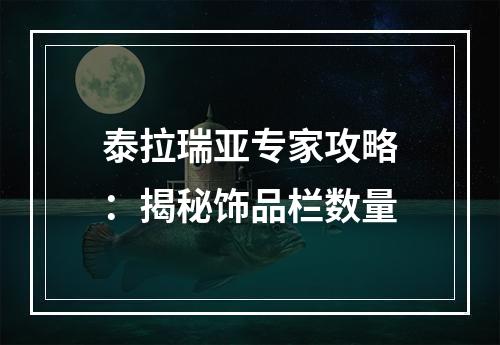 泰拉瑞亚专家攻略：揭秘饰品栏数量