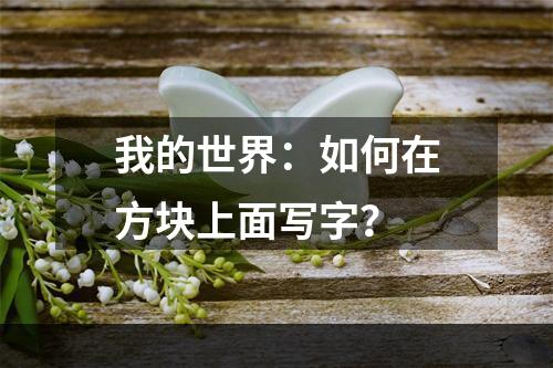 我的世界：如何在方块上面写字？