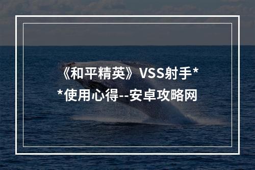 《和平精英》VSS射手**使用心得--安卓攻略网